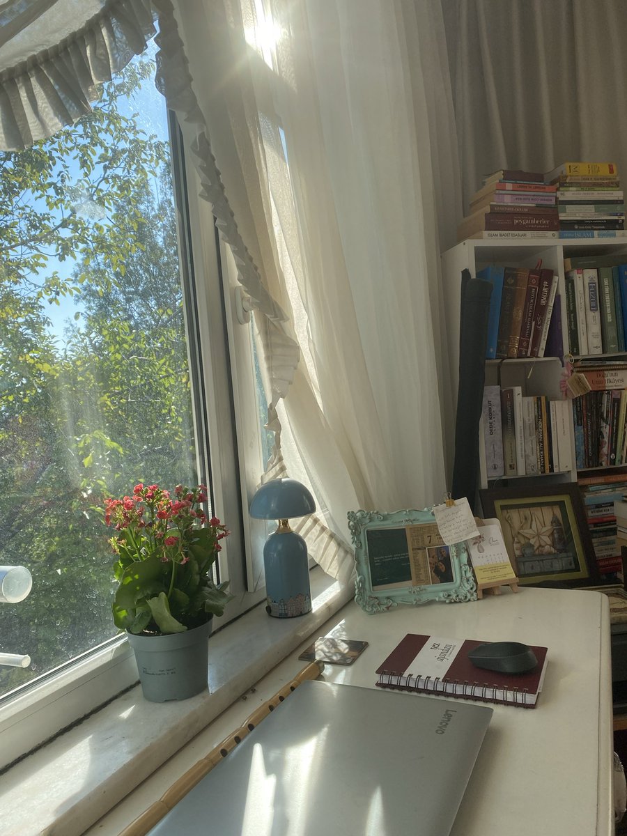 Bildiri 🫧

"Valla ben evim, odam, kitaplarım neredeyse kendimi oralı hissederim. Başka bir yere de ihtiyaç duymam.
Ve işin kötüsü, galiba öyle de kalmak istiyorum."

“Bu, insanın kendine bir dünya yaratabilme, kendini oyalayabilme yeteneği ile ilgili bir şey.”

🎬 Kış Uykusu ✨