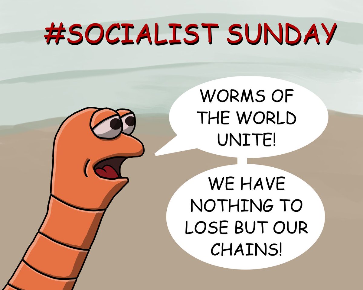 A #SocialistSunday reminder

"Centrists" (as they call themselves) are not moderates

They believe in war, division, austerity, landlordism, privatisation, deregulation, greed and inequality

Those of use they call "far left" are the real moderates who support peace and fairness