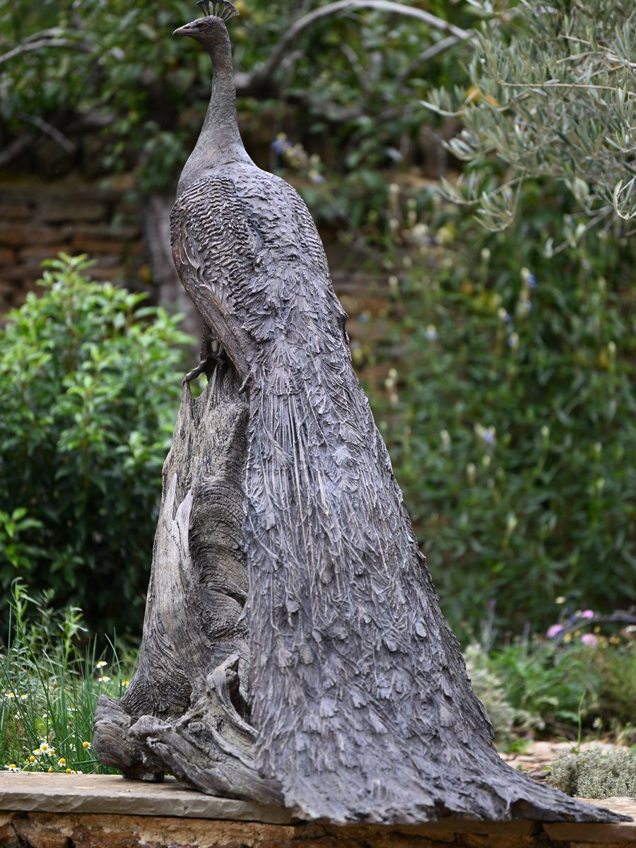 Peacock Life Size 2025

hamishmackie.com/sculptures/pea…

#peacock #peahen #indianpeafowl #peafowl #commission #artcommission #artcollectors #statuecollectors #commissionart #buyart #artbuyers #artwork #sculpture #statue #sculptor #birds #contemporaryart #sculpting #contemporarysculpture