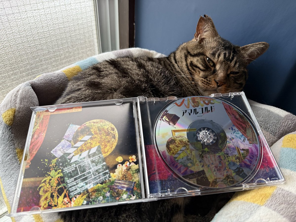 Amarcord (アマルコルド) @M3 秋 A-09a tweet media