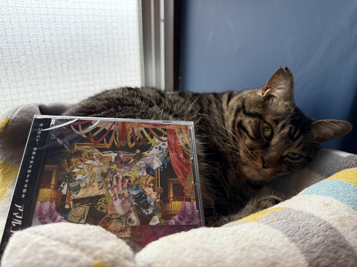 Amarcord (アマルコルド) @M3 秋 A-09a tweet media