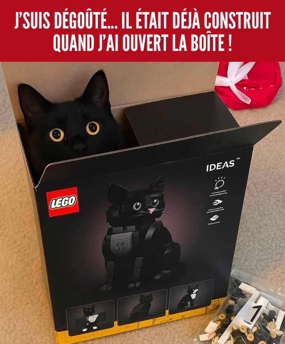 Croc Tweet (@croctweet) on Twitter photo 