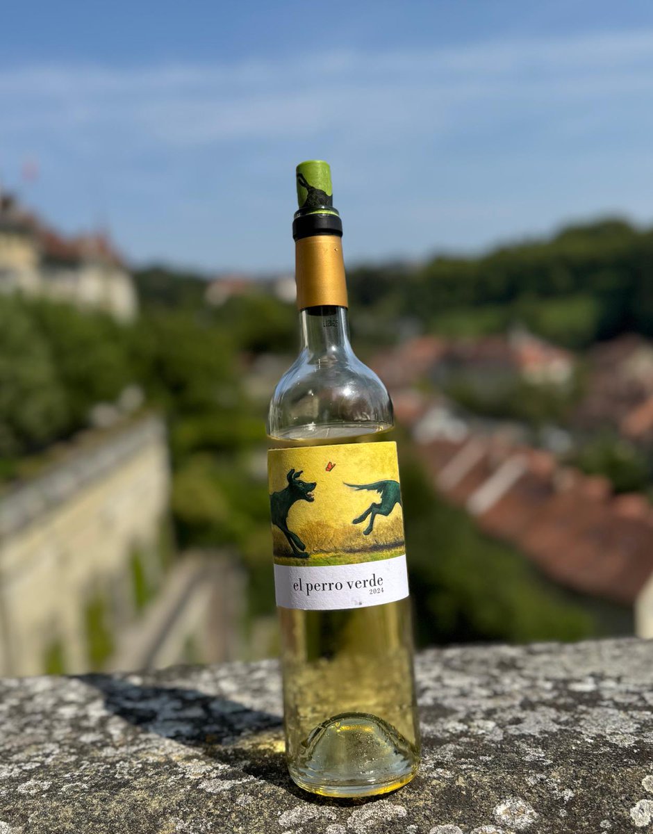 AmarzoaVV's tweet photo. 🐶 Perro Verde 2024 under the sunny skies of Bern 🇨🇭☀️Fresh, vibrant, and full of life. 100% Verdejo from Rueda by @uvasfelices 🍇💚
#PerroVerde #UvasFelices #RuedaWine #SpanishWine #Bern #Switzerland #Verdejo #WineLovers https://t.co/8E5XNjRRr9