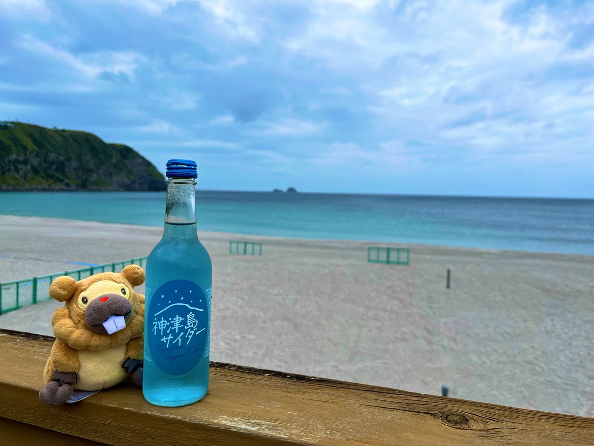 Bippa_Poke3's tweet photo. 〜神津島旅行記🦫🦫〜
10時に到着(途中の島も全て着港)、旅館に荷物を置いてニンゲンのダイビング🤿まで前浜海岸〜物忌奈命神社〜よたね広場をお散歩。
天気は曇りだけど開放感があって気持ちよかったよ🦫
#ポケモンfit
#ポケモンfitのある暮らし 
#ぬい撮り https://t.co/DirzcWh8gL
