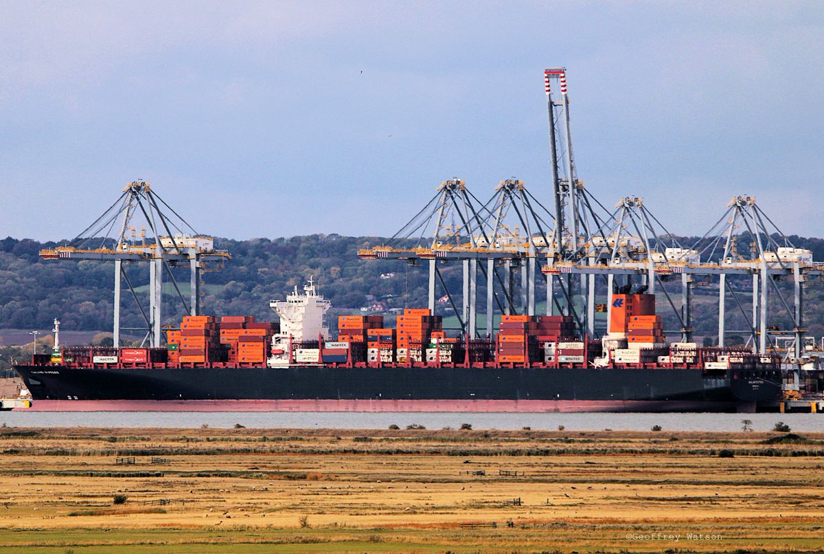GeoffreyWatson2's tweet photo. Four containerships at London Gateway yesterday.
Matz Maersk, MSC Cornelia, MSC Lisbon &amp; Oakland Express.
#maersk #msc #hapaglloyd #dpworld #containers #logictics #maritime #shipping #marinephotographer #portoflondon #thames https://t.co/kL8EvC9ep3