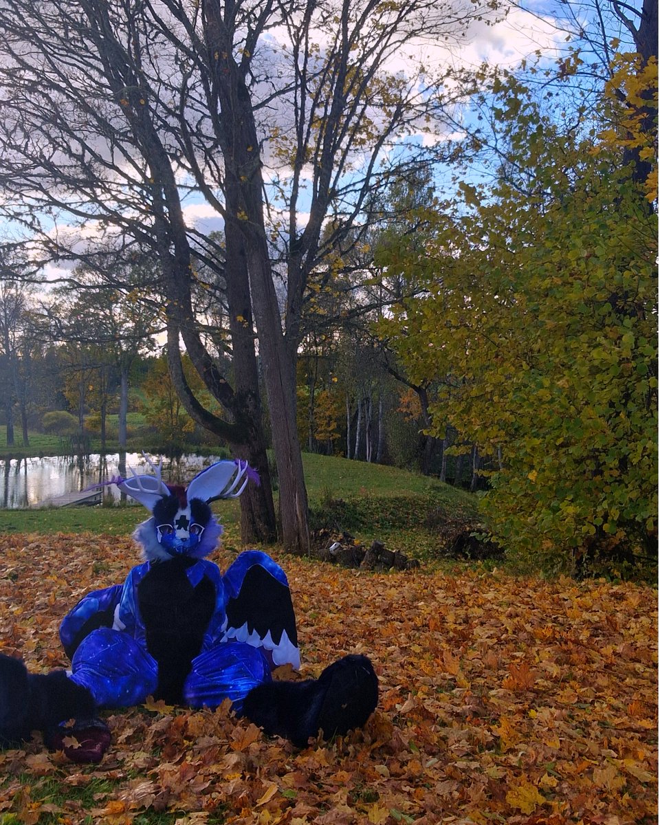 moononia's tweet photo. Just a little bit of fotos.

Just the perfect weather to suit. As it's not hot.

#furry #furrsuit #furryfandom #fursona https://t.co/ZQuJiaglH0
