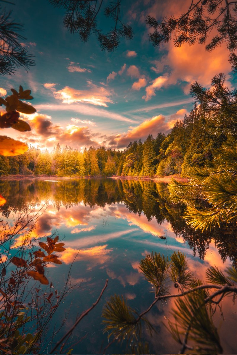 🧡🍂  🇨🇦 🍂💛
       🍁💛🍁
              🍁
Canada ❤️
📸 Zach Doehler