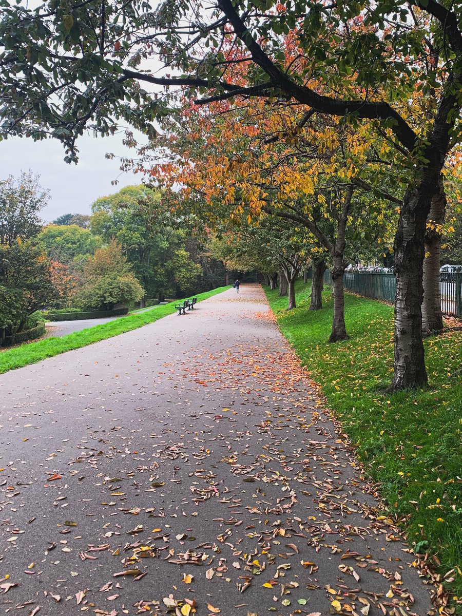Autumn colours at Crookes Valley Park.

#Autumncolours #AutumnVibes #TheOutdoorCity #Autumn 
#CrookesValleyPark