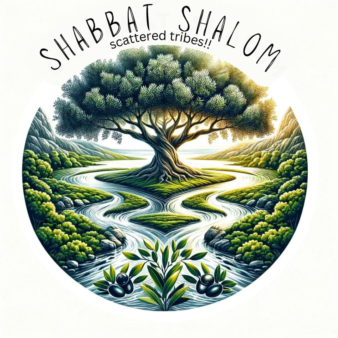 ThundersSeven's tweet image. The 8th Day is after the 7th Day 1000 year Reign when the #Adversary will deceive those nations to make war against #Adamah It is the time of the Great White Throne #Judgement when the Sea is no more the Abyss &amp;amp; Sheol will be cast into the Lake of Fire
The Books will be opened