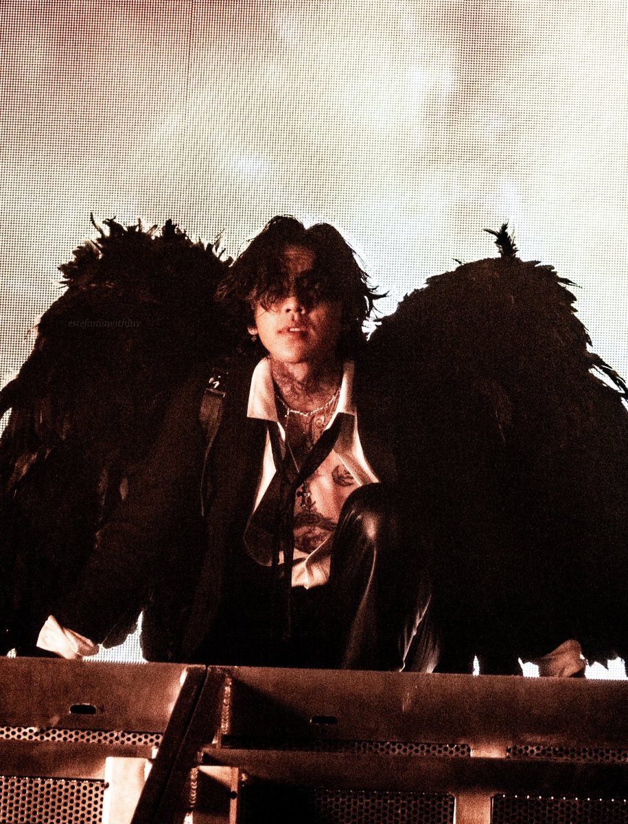 the mito wings