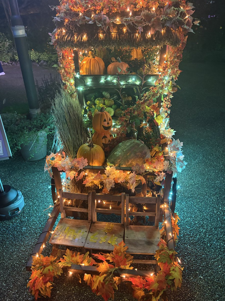 niraken04's tweet photo. 夜のお散歩✨ https://t.co/ye6ImnkTl0