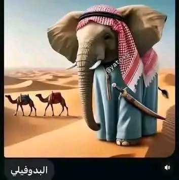 ⚔️عماد-ساما🛡️ (@riley_san124) on Twitter photo 