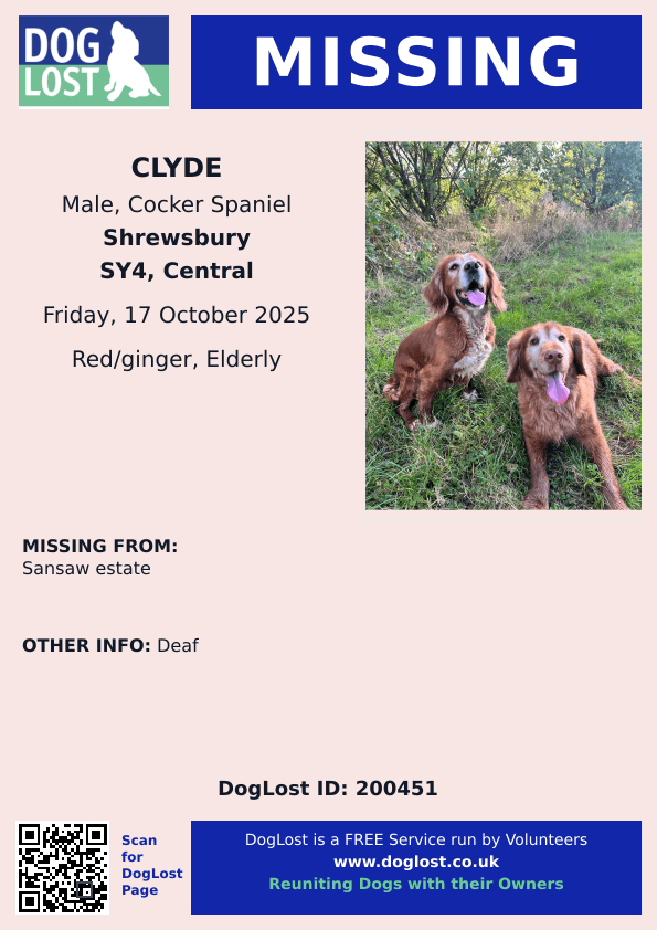 MissingPetsGB's tweet image. 🐕 CLYDE #LOSTDOG
ELDERLY &amp;amp; DEAF #MISSING FROM SANSAW ESTATE, #SHREWSBURY #SHROPSHIRE #SY4 
Since 17 October 2025
Clyde is chipped &amp;amp; his family are desperately looking for him 🙏
doglost.co.uk/dog/200451