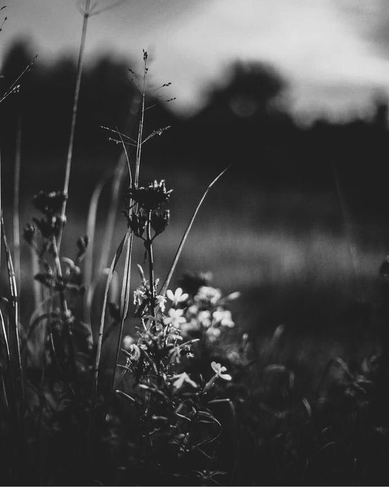 .

“If you are not too long,
I will wait here for you all my life.”

― Oscar Wilde
.

🖤