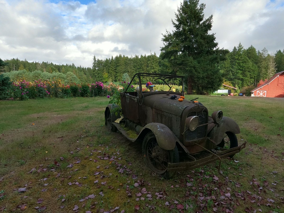 frescotennis's tweet photo. Suyematsu Farms, Bainbridge Island 💢 https://t.co/LnJaV86ojX