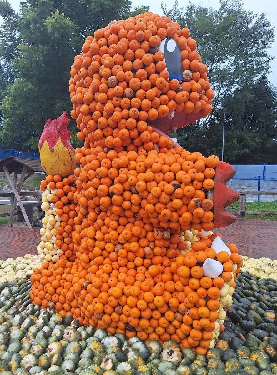 Charmander made out of Pumpkins 🎃