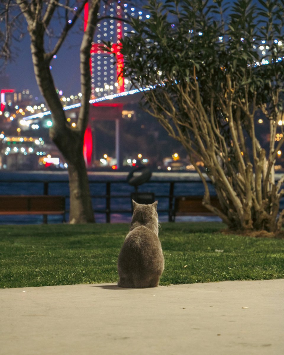 Wannawave (@wannawave) on Twitter photo 