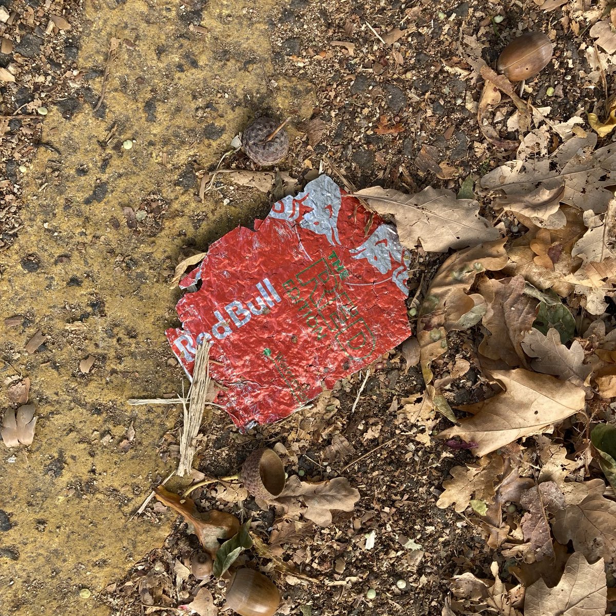 Red Bull can #1860: Remains of a red variant, Woodside Park. #RedBull #Litter #LitterPicking #Recycling #KeepBritainTidy