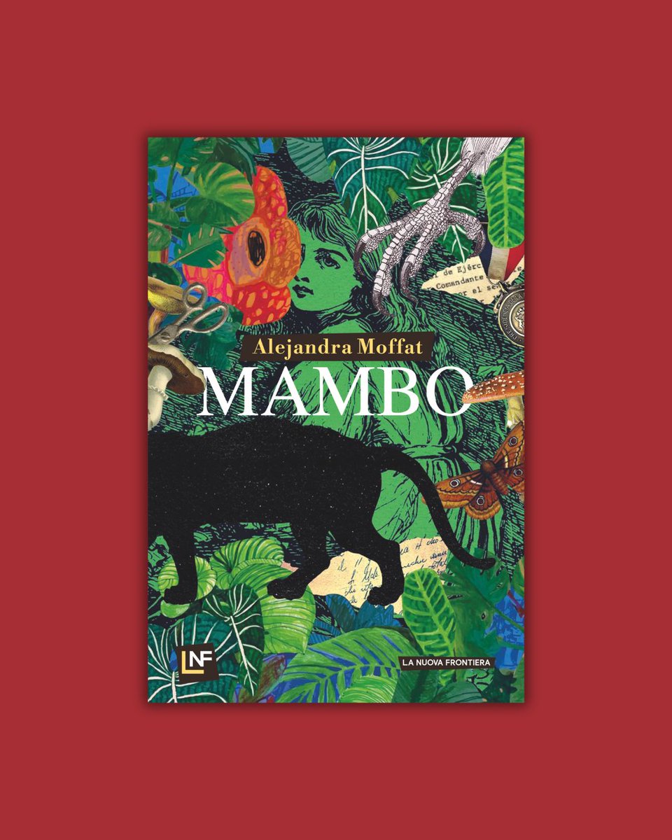 La Nuova Frontiera tweet media