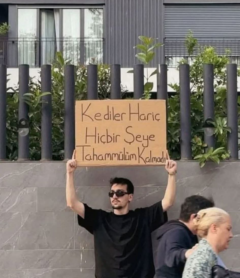 Eylem Cülcüloğlu tweet media