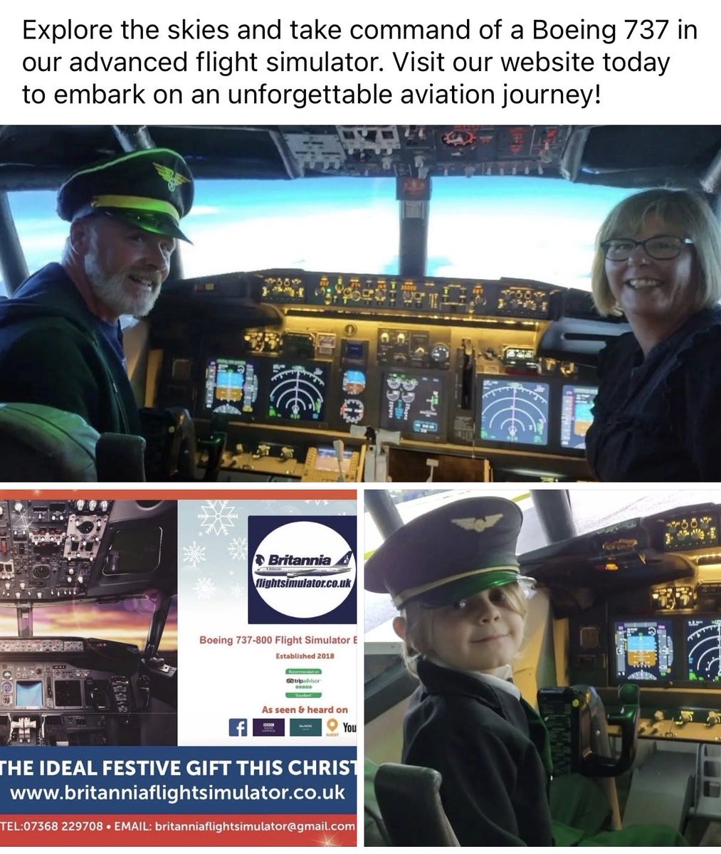 Britannia Flight Simulator tweet media