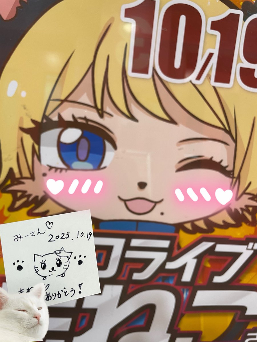 もねこ