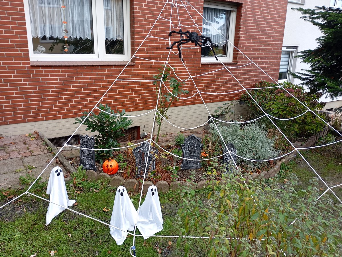 2 weeks left and I am ready