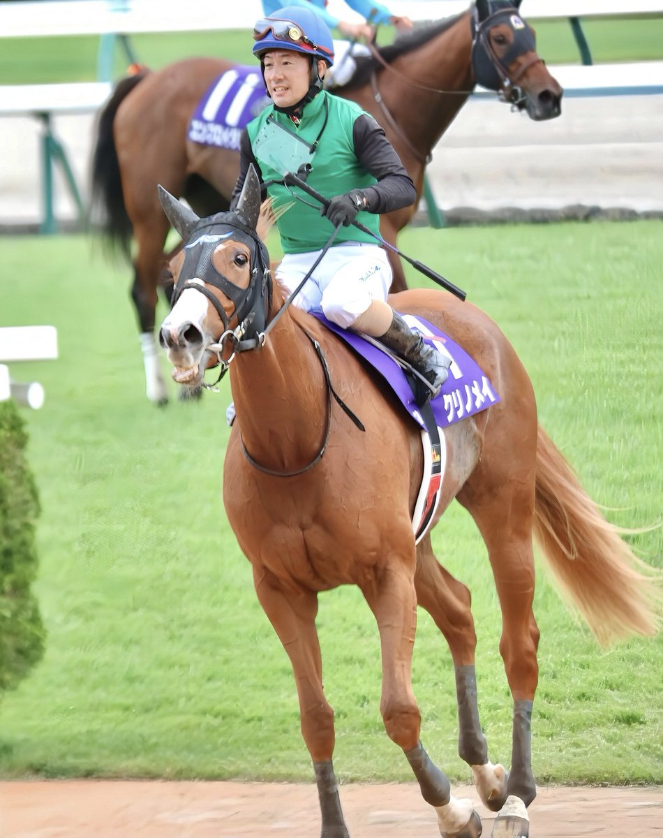 メイちゃん🐴💚🖤💚
上がり3位
頑張った、頑張ったよ👏🏻👏🏻👏🏻

＃クリノメイ ＃秋華賞
＃オルフェーヴル産駒