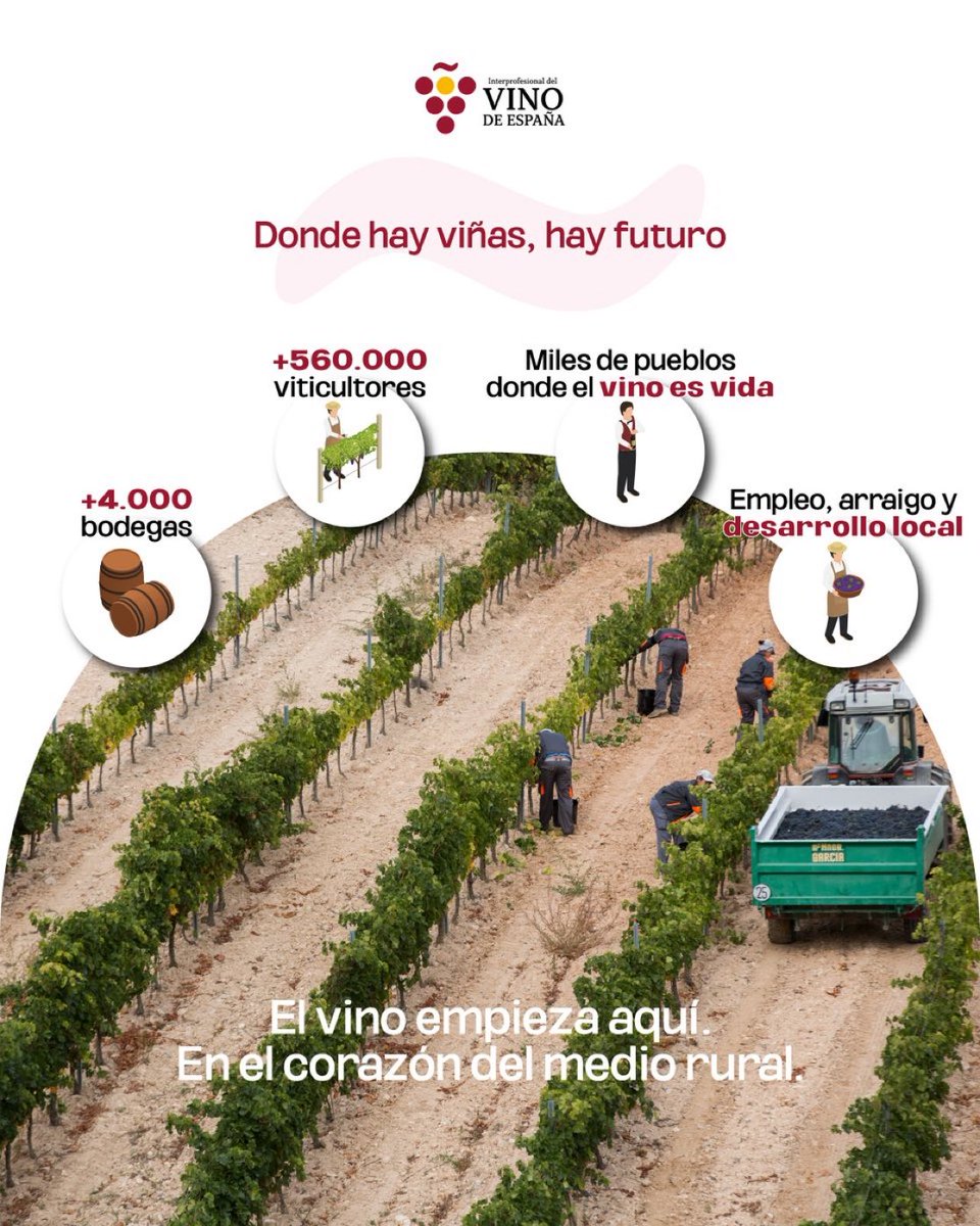 La esencia del #sectorvitivinícola 🍇 late en el entorno rural.

Es en los pequeños municipios donde el viñedo arraiga, se genera empleo, se impulsa la economía local y se construye futuro 🌱.

Ahí es donde trabajamos cada día.

#EspañaRural #VinoDeEspaña vía <a href="/InterVinoEs/">Interprofesional del Vino de España</a>