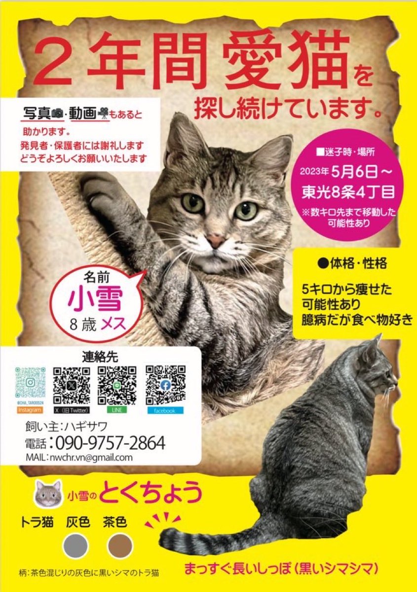 皆様ありがとうございます

Xを投稿すると

『もう帰ってこないよ』など

悲しい言葉もいただきますが

今回は、たくさんのあたたかいコメント
いただき大変勇気づけられます

今後とも
どうぞよろしくお願いいたします

#小雪　#迷い猫　#旭川　#拡散希望
#こちら最新のチラシです