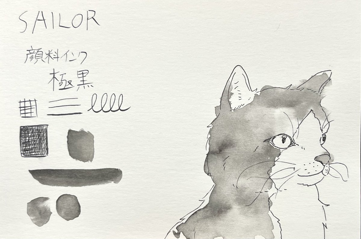 kapikingu's tweet image. 万年筆インクの色見本、自分用に作成
#イラスト #illustration #インク沼 #inkdrawing