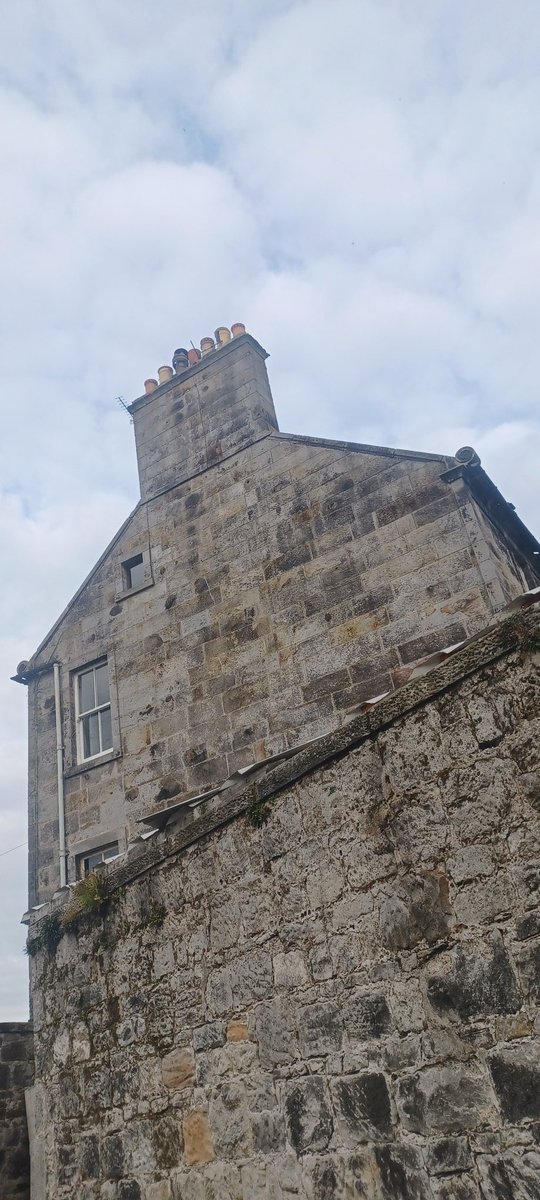 D L Z (@dlzfilms) on Twitter photo 