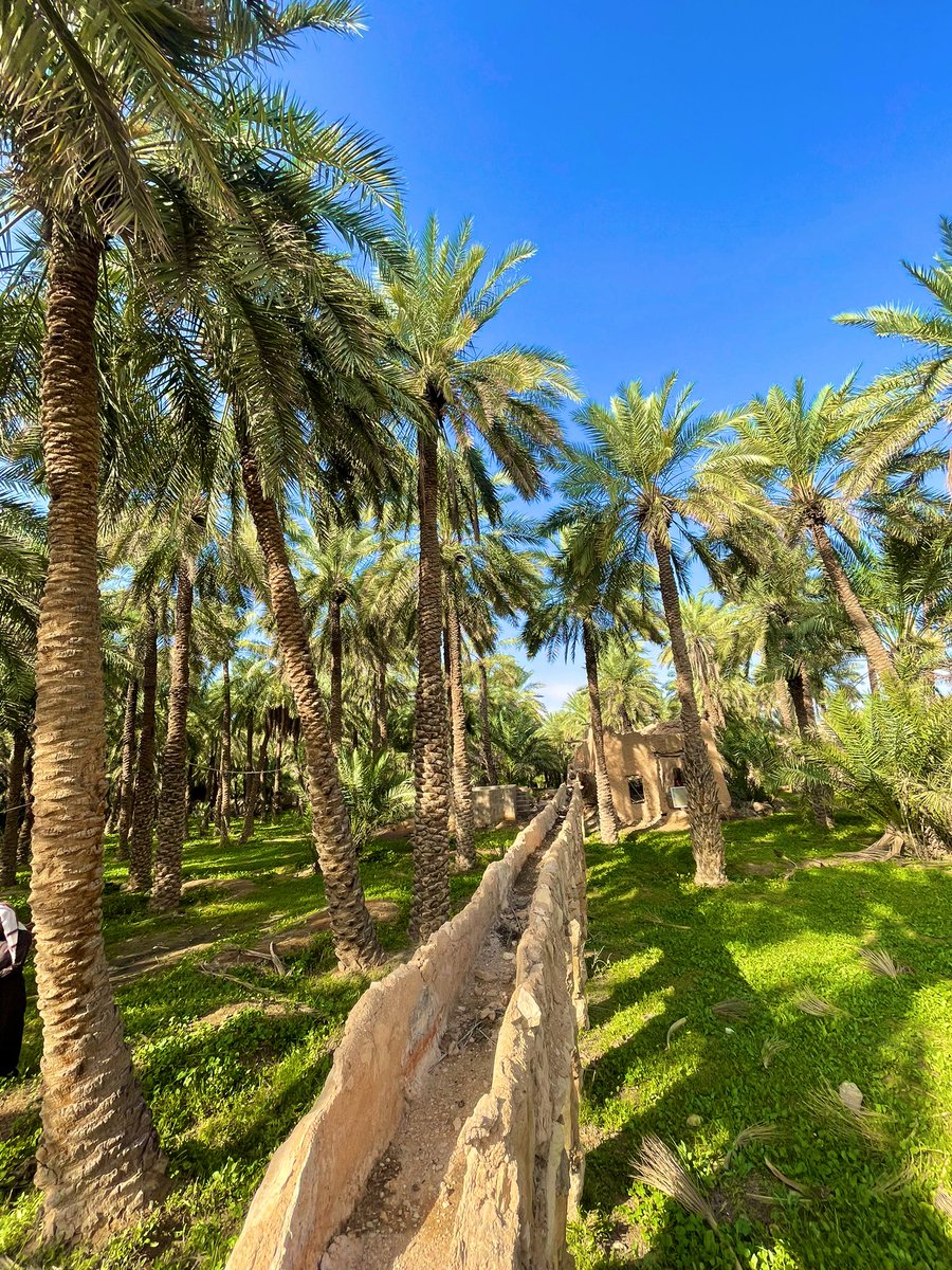 مزرعة قديمة في بلدة العطار بمنطقة سدير
يوجد فيها قنوات مائية معلقة قديمة مصنوعة من الحجارة  لتوزيع المياه .
وهذه الطريقة للري كانت مستخدمة في الحضارات القديمة
ووظيفتها المساعدة على  توازن منسوب المياه داخل المزارع وايصاله للمناطق المرتفعة