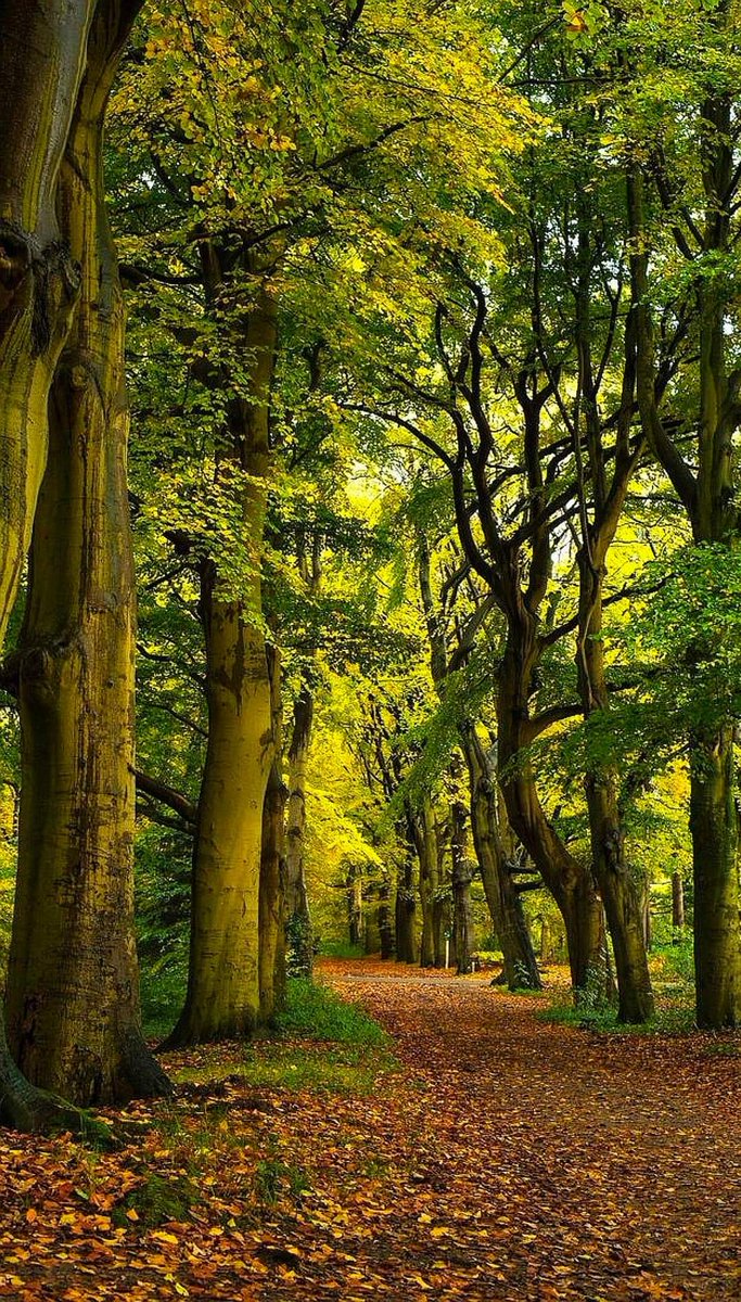 Earth pictures 🌍🌎🌏 (@__earthpictures) on Twitter photo 