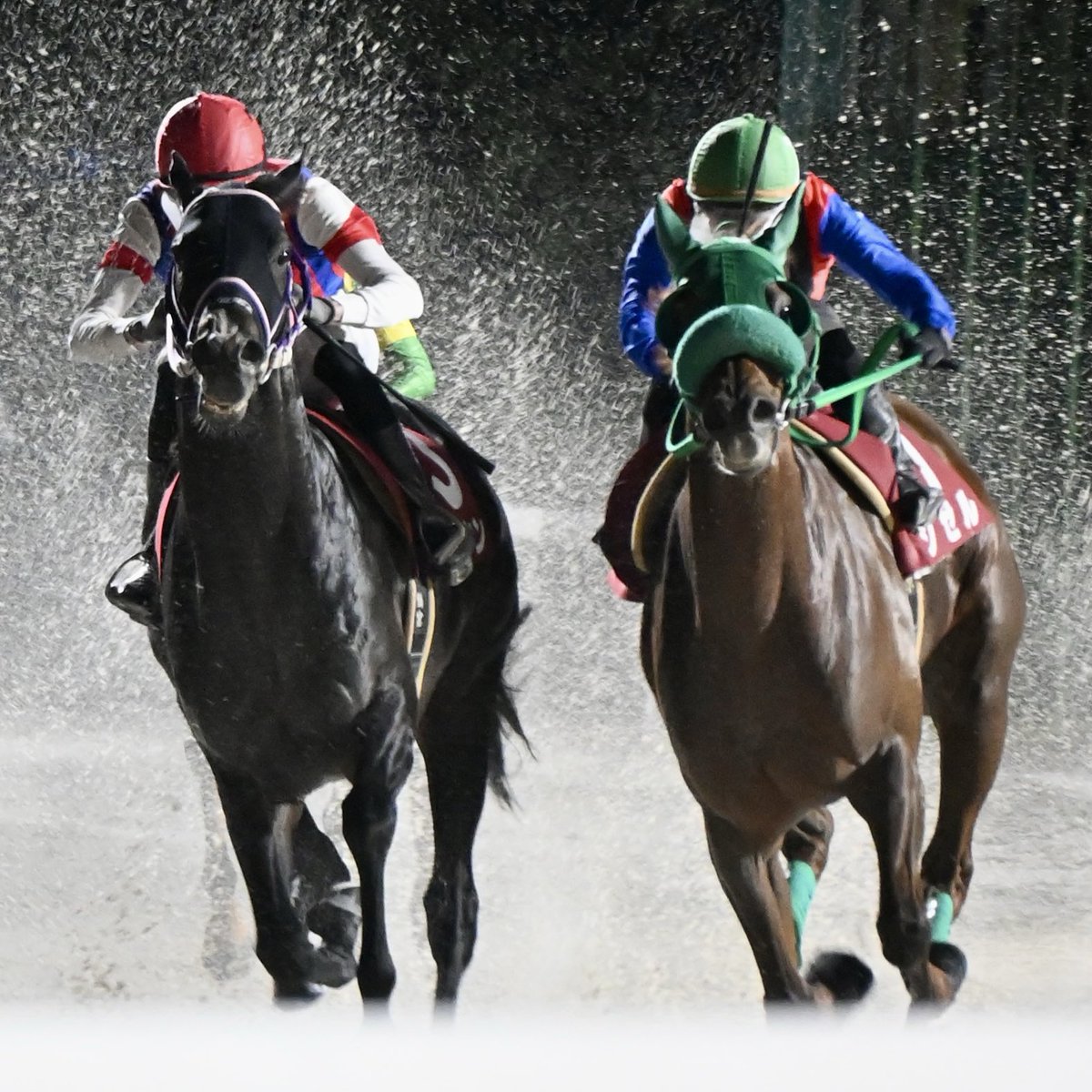 ウマカス多重債務者 Tajima TAJIMA(タジマデザイン) GASFGLWM2550LR 剛厚Gダブルマグ