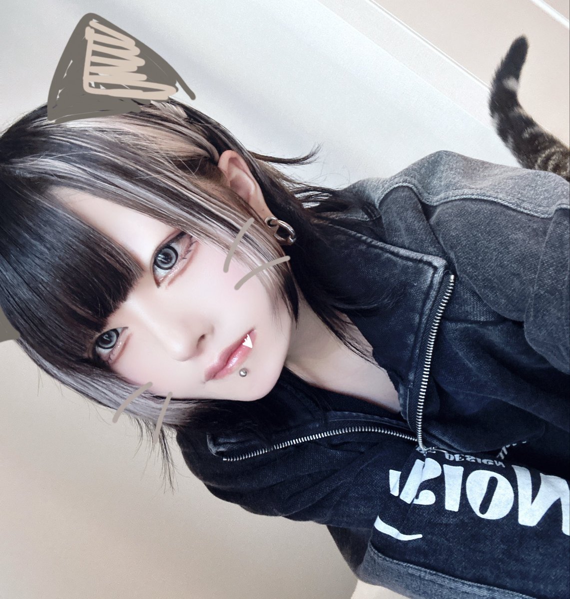 尻尾が生えたニャー