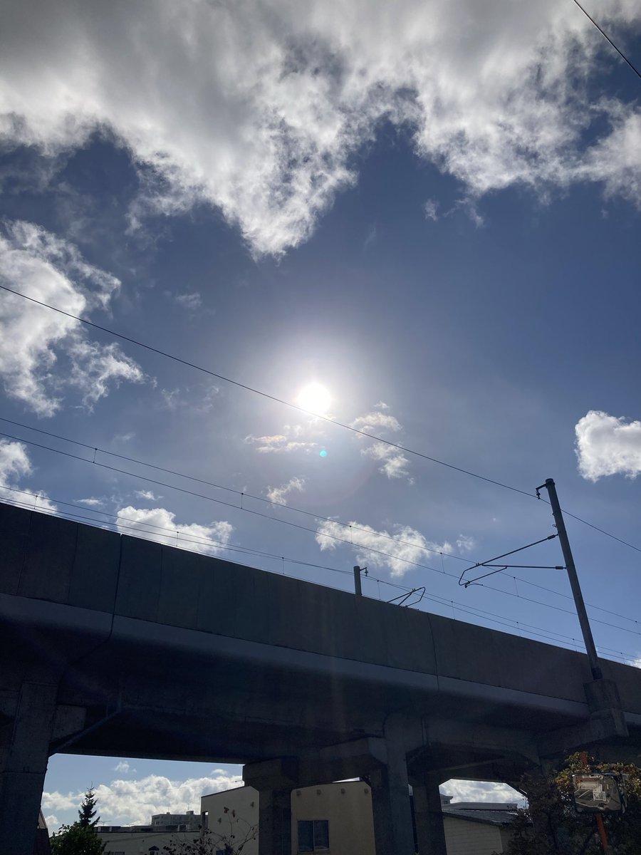 Good morning ☀️🕊️💕Afternoon 🍊
Evening 🍇 night ✨🦉