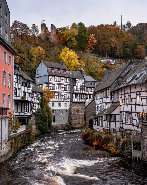 Roelof de Mik (@roelof_mik) on Twitter photo 