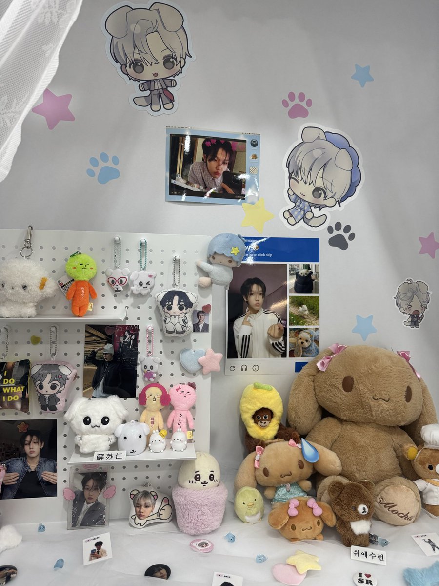 zishuoh_gf0214's tweet photo. #작전명_강아지를찾아라
#수런이_여기있네

가봤던 보플 응원카페중에 짱입니더..🥹 제일 예쁘고 알찼어요!! 다 넘 친절하시고 럭드랑 네컷이 대박이에용💕💕 재밌었습니당 https://t.co/hsJUXHDHq1