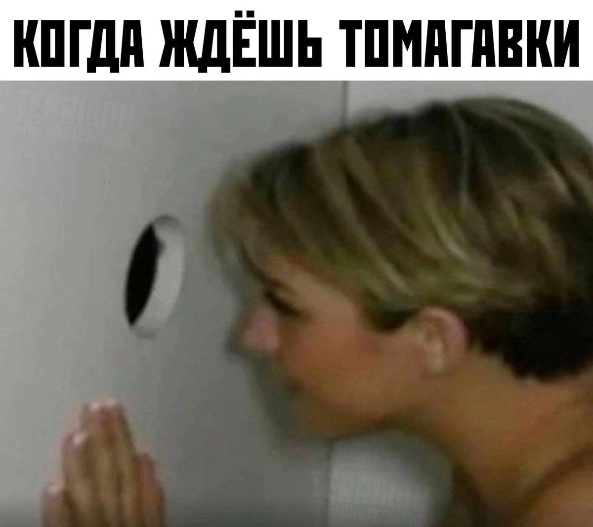 БУРЗУМБЕК 🇮🇱 (@g888888l) on Twitter photo 