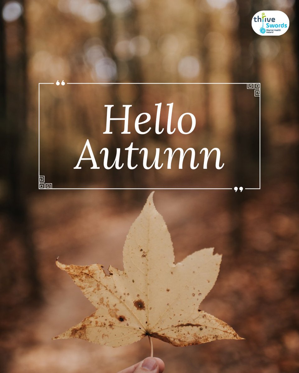 Thrive Swords tweet media