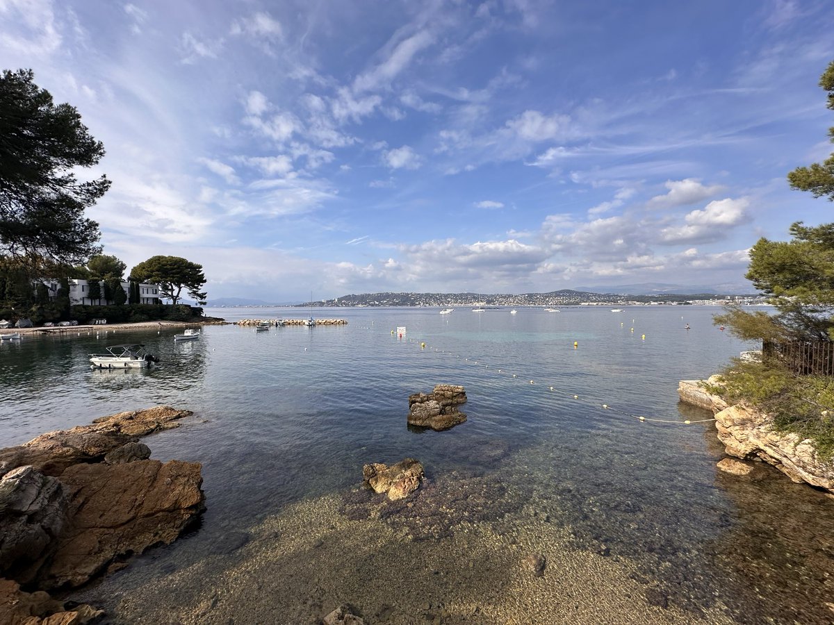 CPASGAGNE69's tweet photo. Le Cap d’#Antibes, maintenant
#LeJardin #LaVieEnBleu💙 https://t.co/BJvXFwO19I