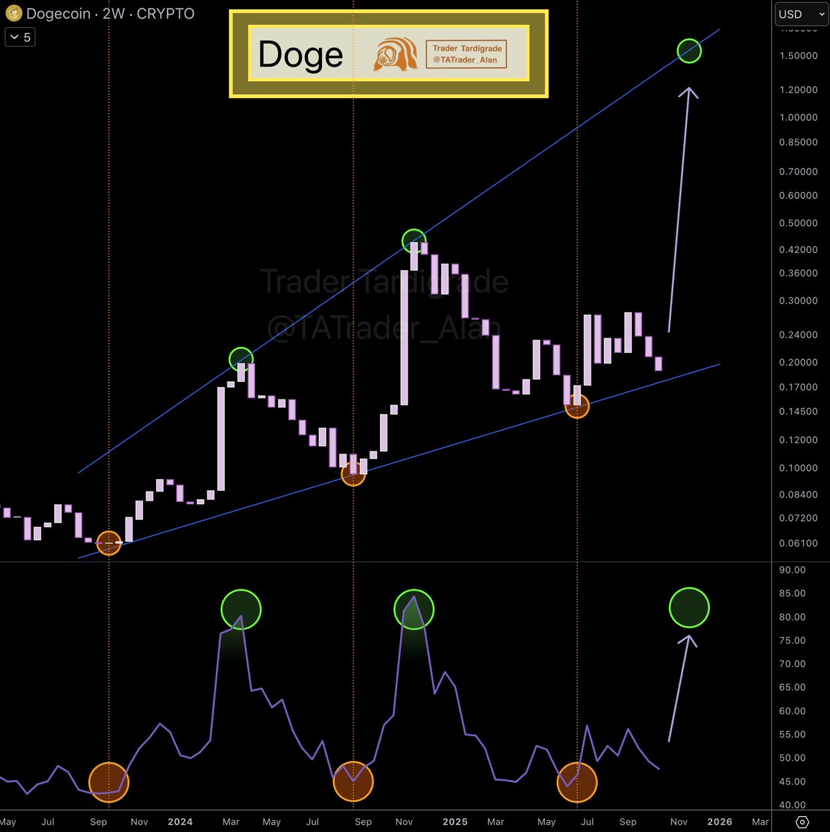 Trader Tardigrade on X