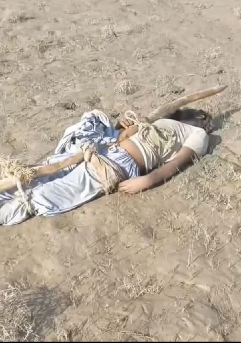 Sana Malik tweet media