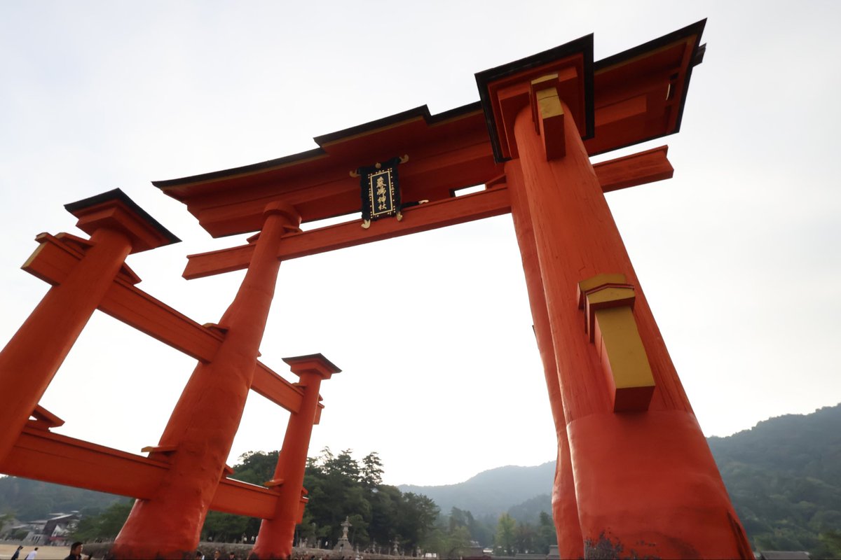 朝から晩まで宮島にいたので、いろんな表情の大鳥居を撮れました⛩️
厳島神社にも満潮時と干潮時の2回参拝。