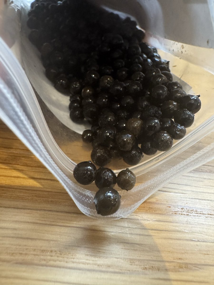 Z李 🇺🇦 NO WAR 🕊 tweet media