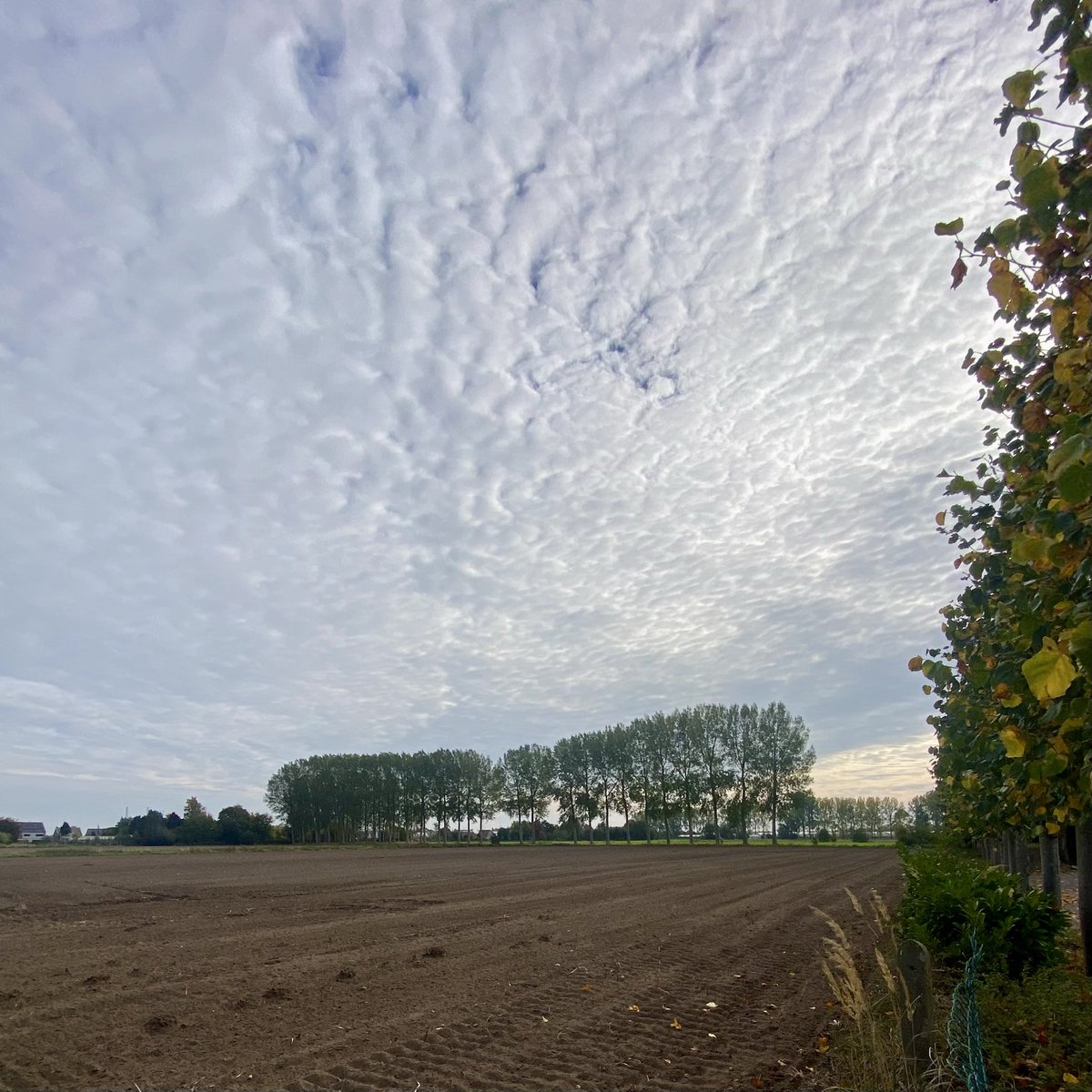 #vrtweer <a href="/Weerbord/">Weerbord☀️☔️</a> <a href="/MeteovistaBe/">meteovista.be</a> <a href="/HetweerinBelgie/">Meteo Reni - Het weer in België</a> <a href="/BuienradarBE/">BuienradarBE</a> <a href="/HendrikRemue/">hendrik.remue@gmail.com</a> 
Lochristi, 19/10, 12.25,