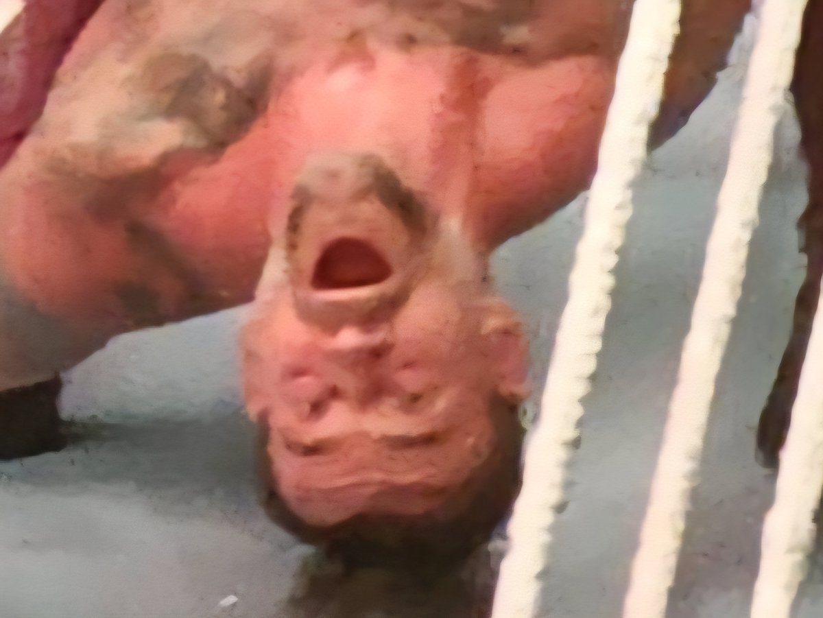 #WWESuperShowJapan
