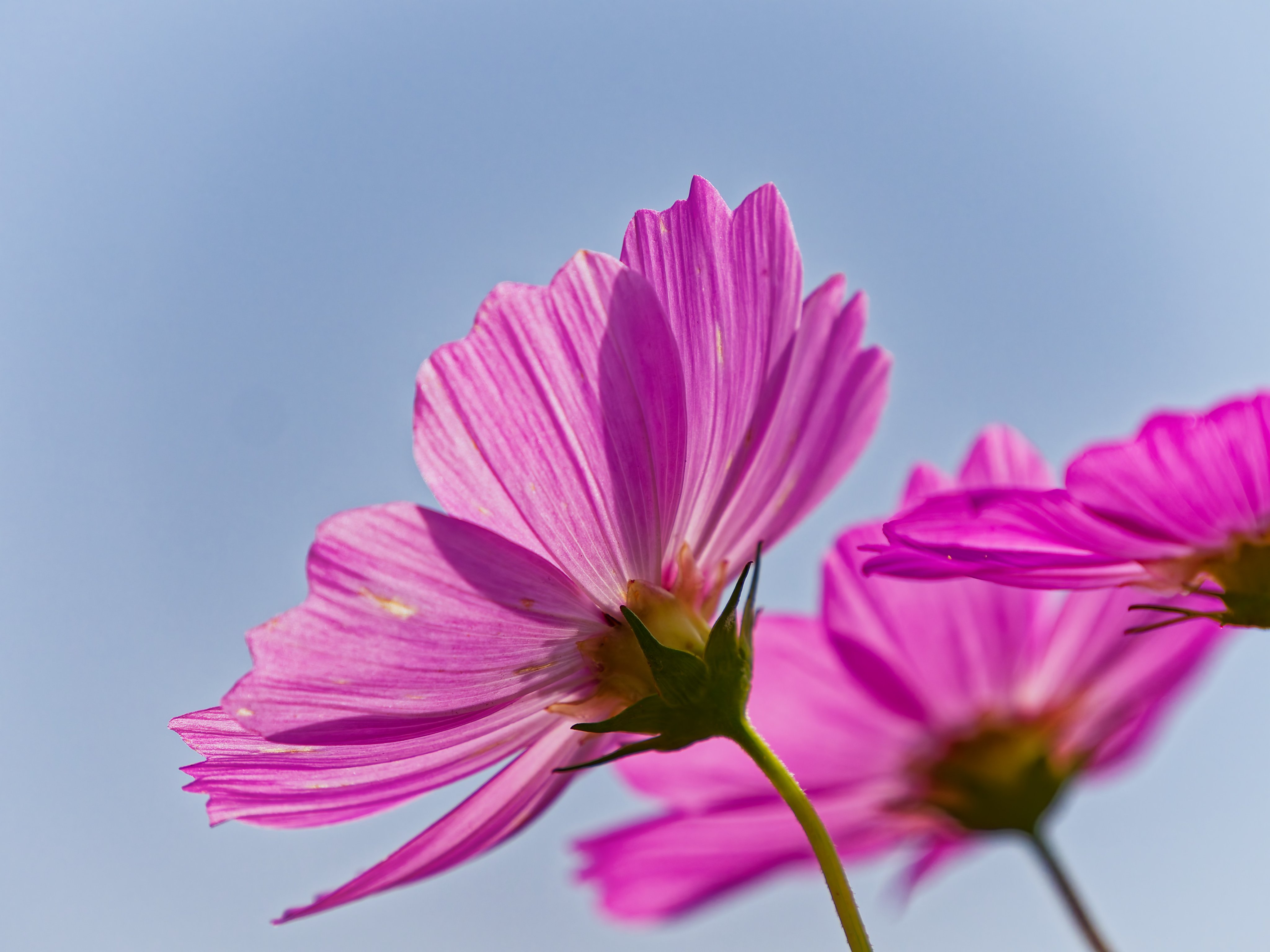 よすけ＠ちゃりかめら on X: 