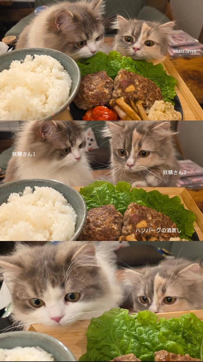 うちの子妖精さんワンツーは、食べ物を目の前にしたらたいへん

#うにほた